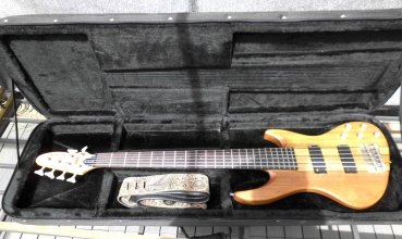 De Armond E-Bass Pilot Deluxe VI