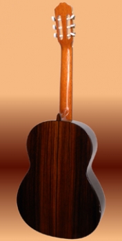 Valdez, Modell 14, Meistergitarre vollmassiv